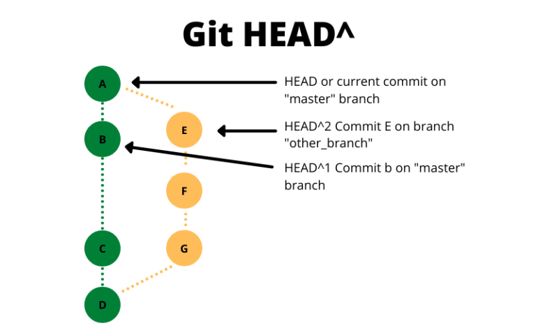 git-head-vs-git-head-vs-git-head-delft-stack